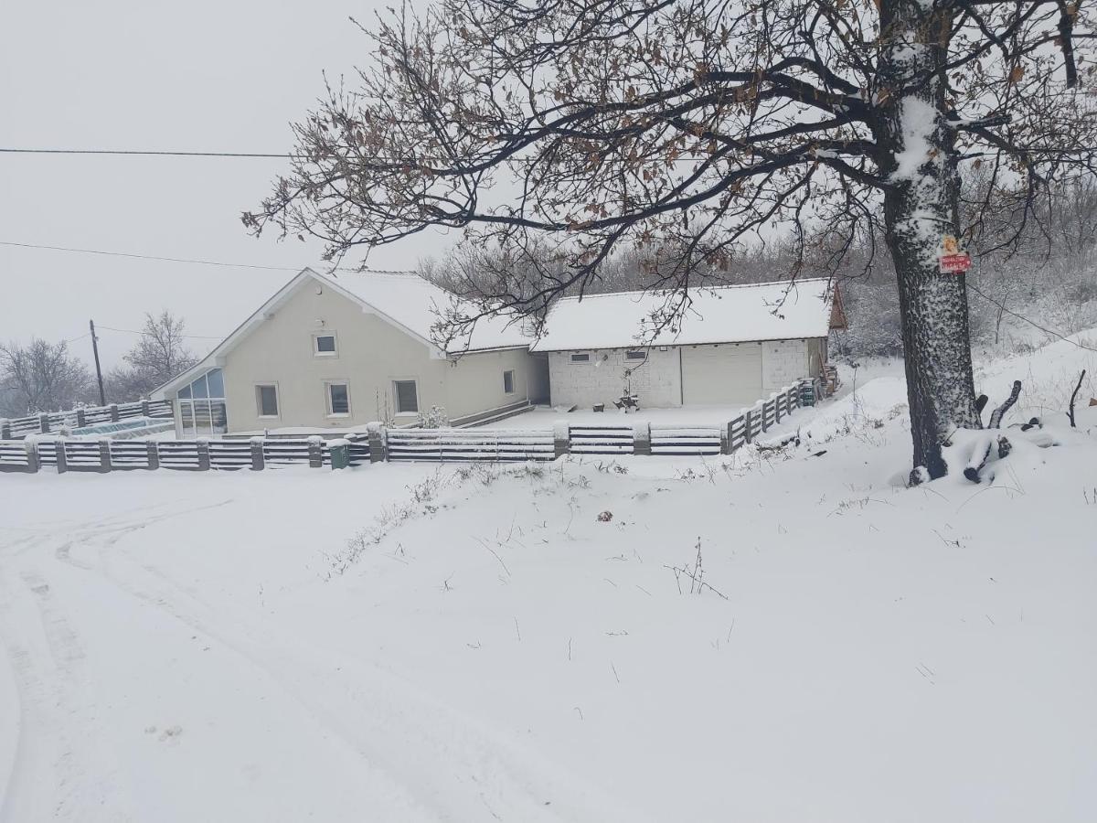 Vila Boba Bor Zlot Exteriér fotografie