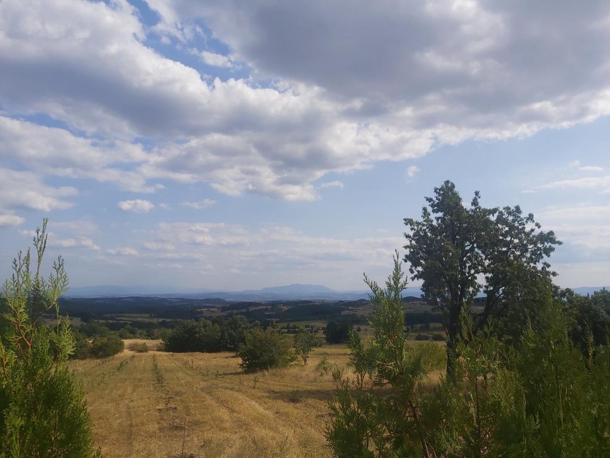 Vila Boba Bor Zlot Exteriér fotografie