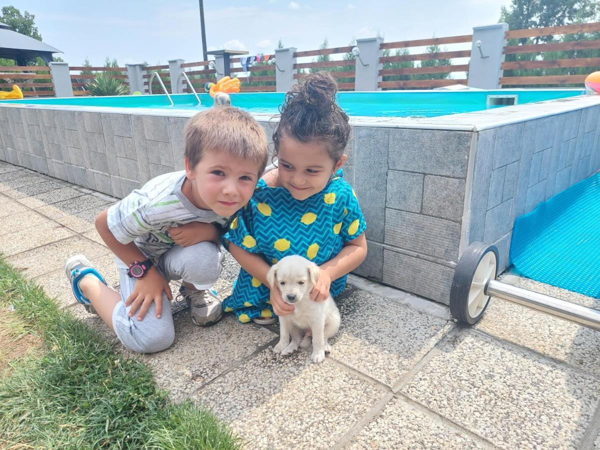 Vila Boba Bor Zlot Exteriér fotografie