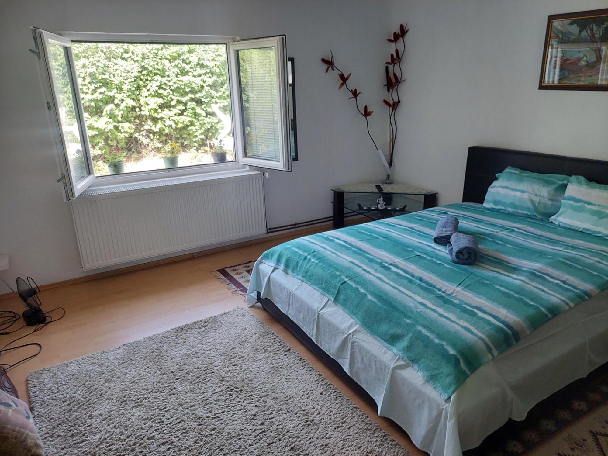 Vila Boba Bor Zlot Exteriér fotografie